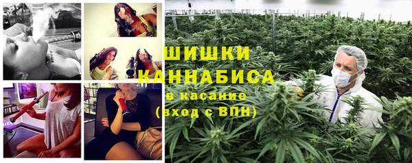Альфа ПВП Белокуриха