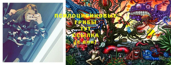 стафф Беломорск