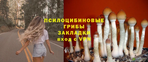 стафф Беломорск