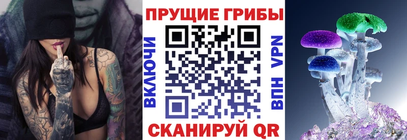 купить  сайты  Купино  Галлюциногенные грибы GOLDEN TEACHER 